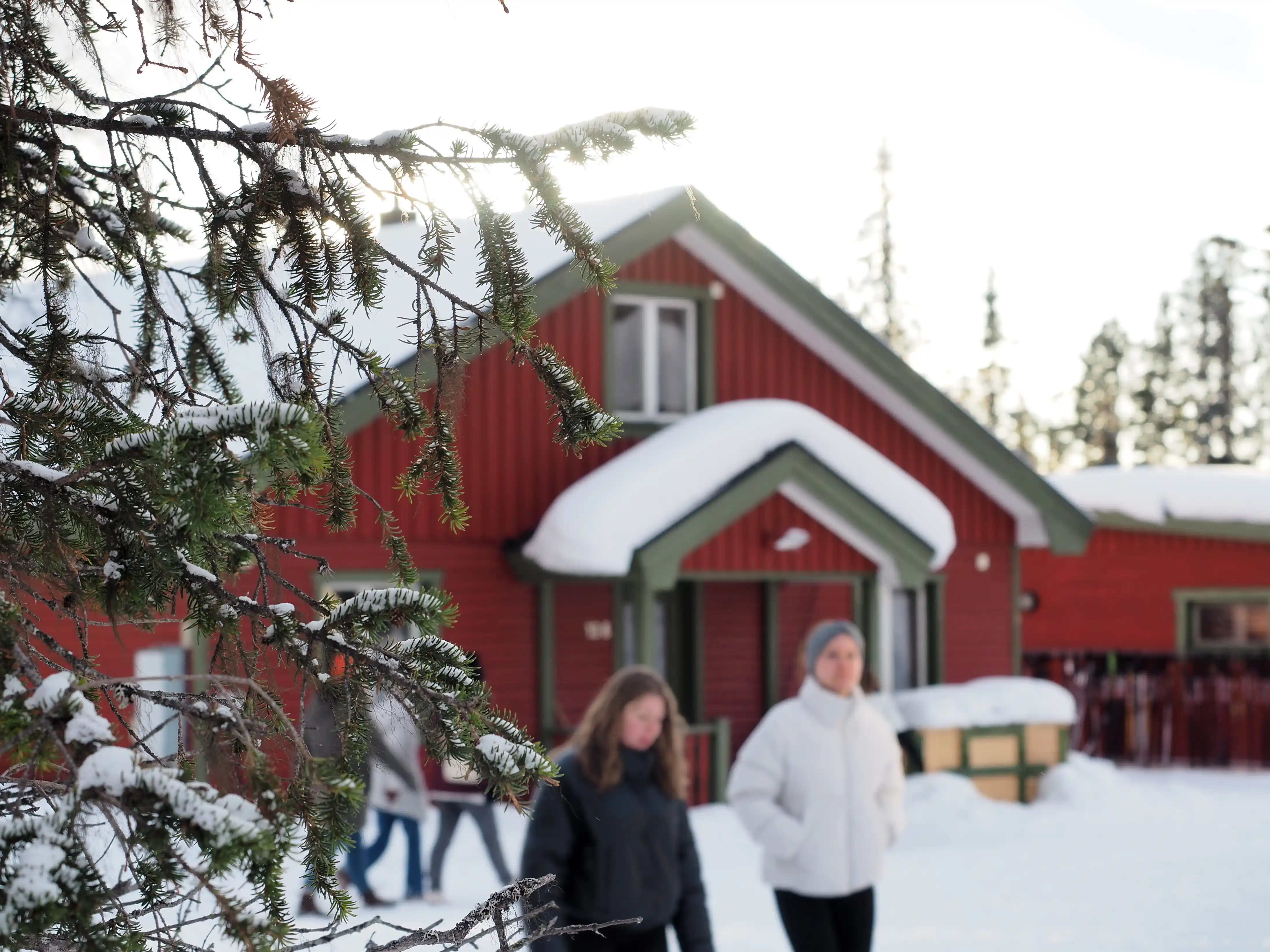 Cabin from the outside